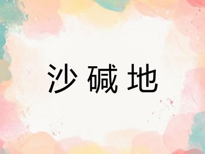 沙碱地