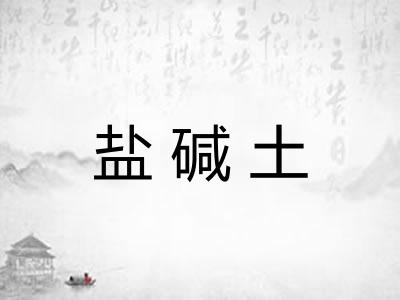 盐碱土