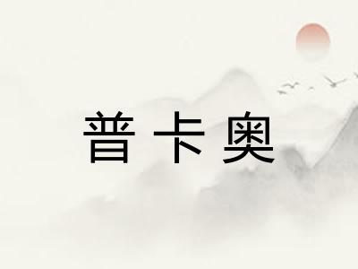 普卡奥