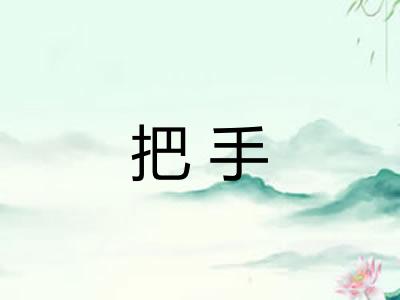 把手