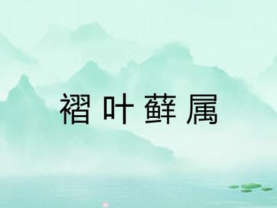 褶叶藓属
