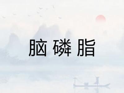 脑磷脂