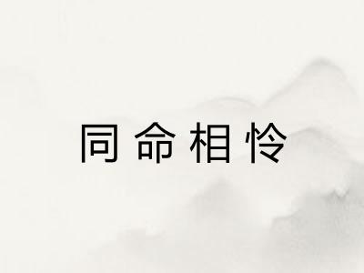 同命相怜