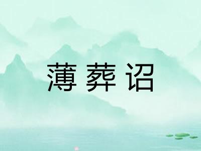 薄葬诏