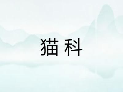 猫科