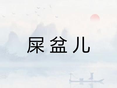 屎盆儿