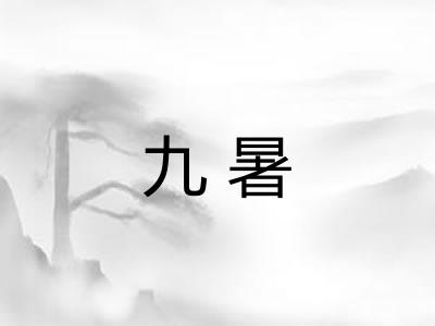 九暑