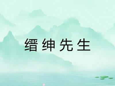缙绅先生