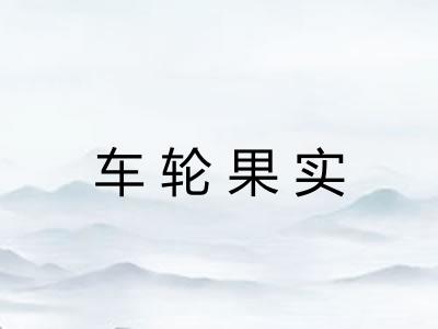 车轮果实