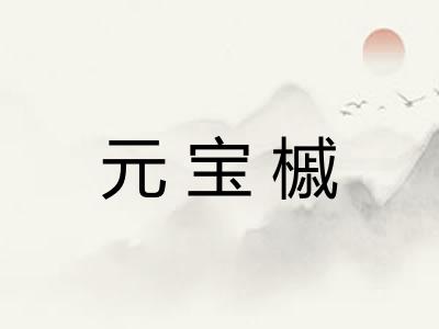 元宝槭