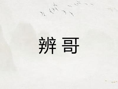 辨哥