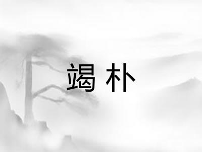 竭朴