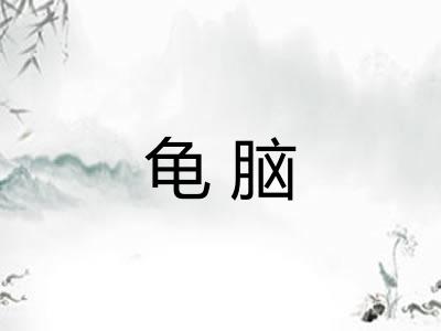 龟脑