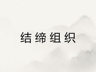 结缔组织