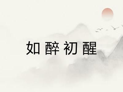 如醉初醒