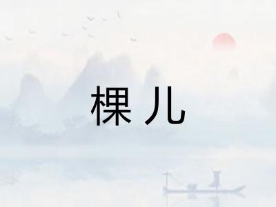 棵儿
