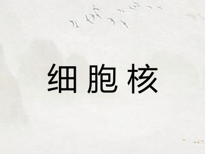 细胞核