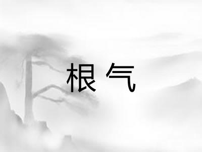 根气