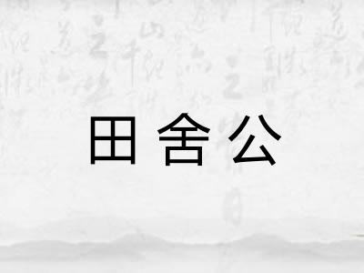 田舍公