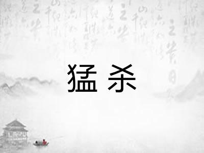 猛杀