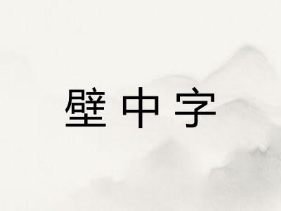 壁中字