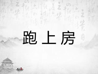 跑上房