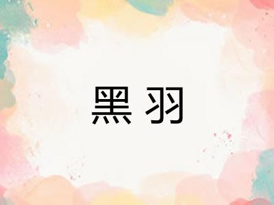黑羽