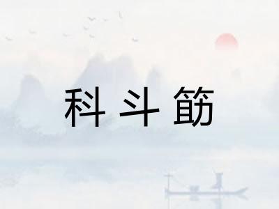 科斗筯