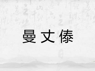曼丈傣