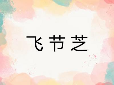 飞节芝
