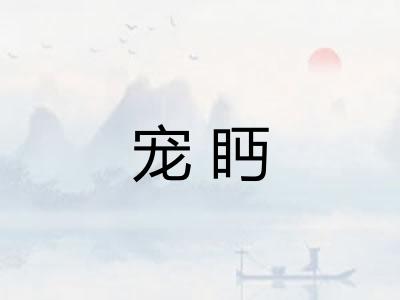 宠眄