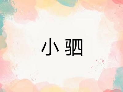 小驷