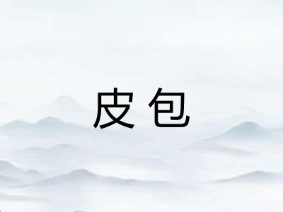 皮包