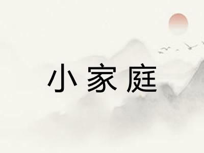 小家庭