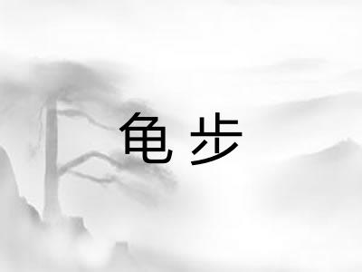 龟步