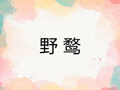 野鹜