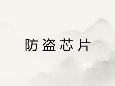 防盗芯片