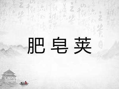 肥皂荚