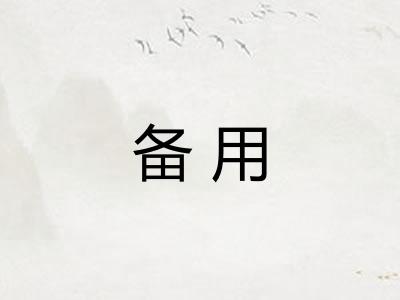 备用