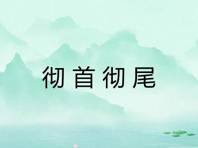 彻首彻尾
