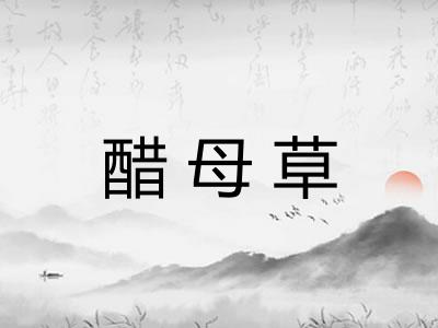 醋母草