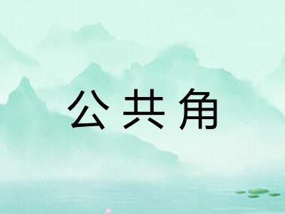 公共角