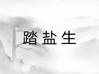 踏盐生