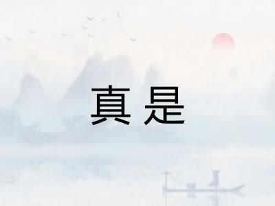 真是