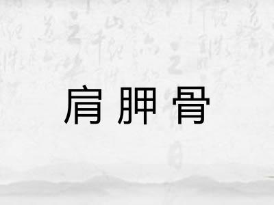 肩胛骨
