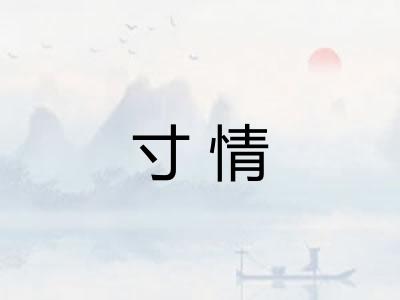 寸情