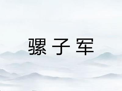 骡子军