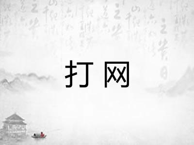 打网