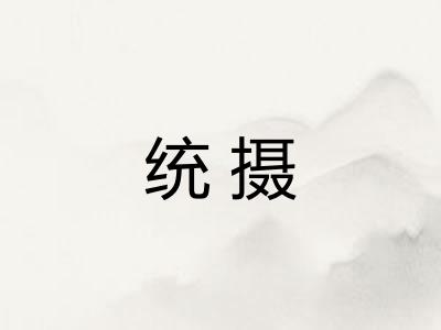 统摄