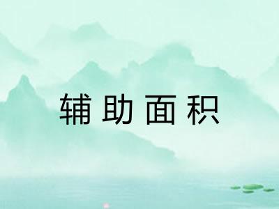 辅助面积